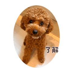 hiromi_20260328233705