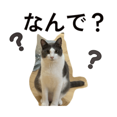 Tom@106_20260328213930