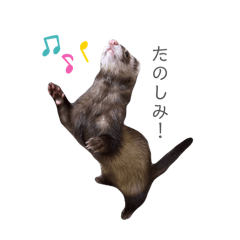 kotetsu_20260328212937