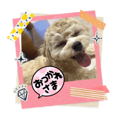 Shuri Teramura_20260328214842