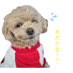 taricha"_20260328214352