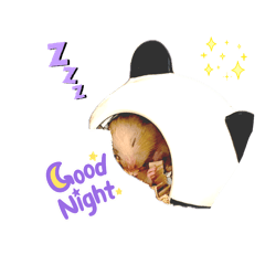 Kiseki_20260328214800