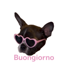 Jackson_20260326015724