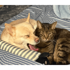 kouki_20260328214857