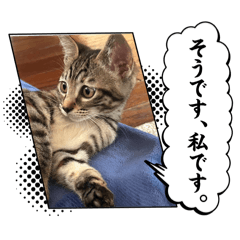 ayaka_20260328214919