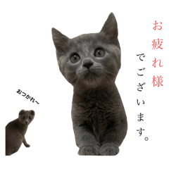 ash.ema_20260329002113