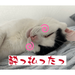 mugi_20260329000654