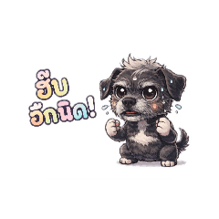 Kao Tom Mad  fighting.