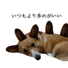 Naya People_20260329011957