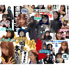 Nobi taro_20260329011120