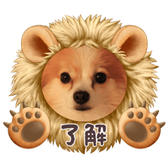 moooooe_20260329011216