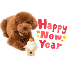 MATSUMOTO_20260328224110