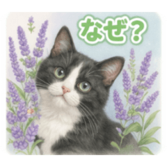 Cats and pretty flowers