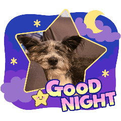 touta_20260328224924