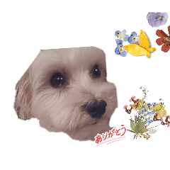 haruku_20260328225228