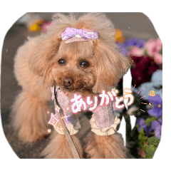 keiko_20260328232551