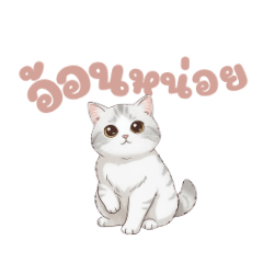 Katai_20260328210801