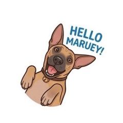 Hello Maruey