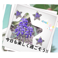 Achie4