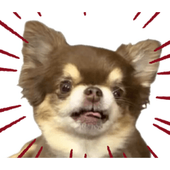 Prod by P_20260329000708