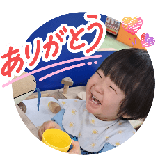 shiba_20260329020724