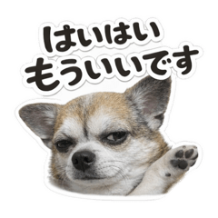 ayaka_20260329024701