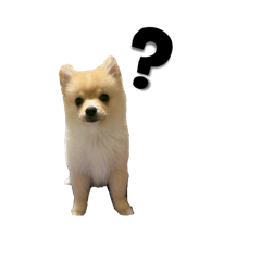 karin_20260329004114