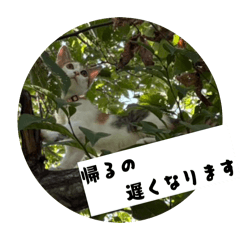 tokoroten_20260329004237