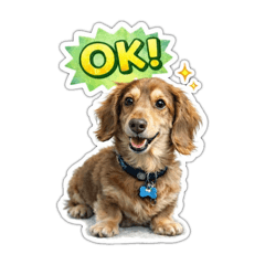 Kobayashi_20260329072320