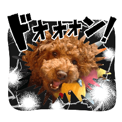 sopio_20260329083446