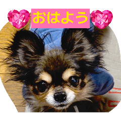 gackt_20260329001831