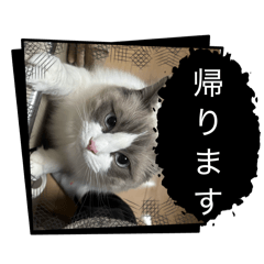 abeshi_20260329081744