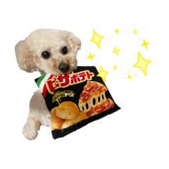 Pork bun_20260326105556