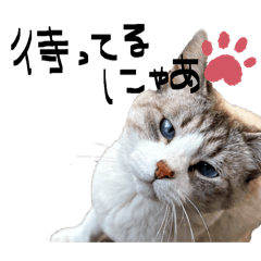 Riooon_20260329013929