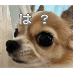 masaki shop_20260329014834