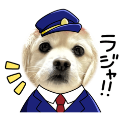 Marin_20260329012904