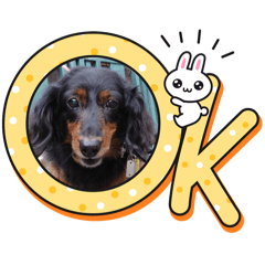 flower bell_20260329014832