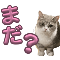 4aaaa._20260329020204