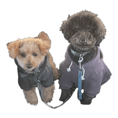 airabuyuu_20260329013124