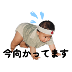 Zukkachan_20260329015739