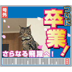 Furuya_20260329042130