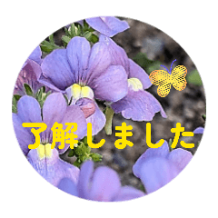 SHIGECHAN_20260326111804