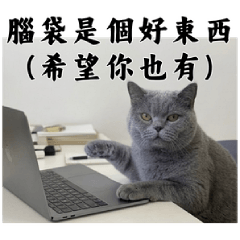 看懂的人，都是自己人