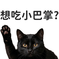 人人都愛小動物5：好了就好了 修訂版