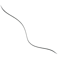 哇哇哇！螢幕上有頭髮欸
