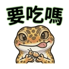 守宮守宮想當你的老公