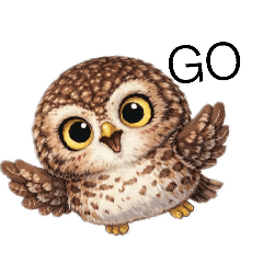 可愛貓頭鷹日常