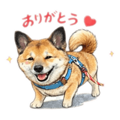 soraumi_20260329065253