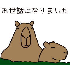 PAKAMOGOLY_20260329070136