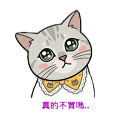 傲嬌貓的日常語錄